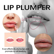 EELHOE Lip Plumper, Fade Lip Lines Dead Skin Moisturizing And Plump Lips Delicate And Glossy Lip Gloss